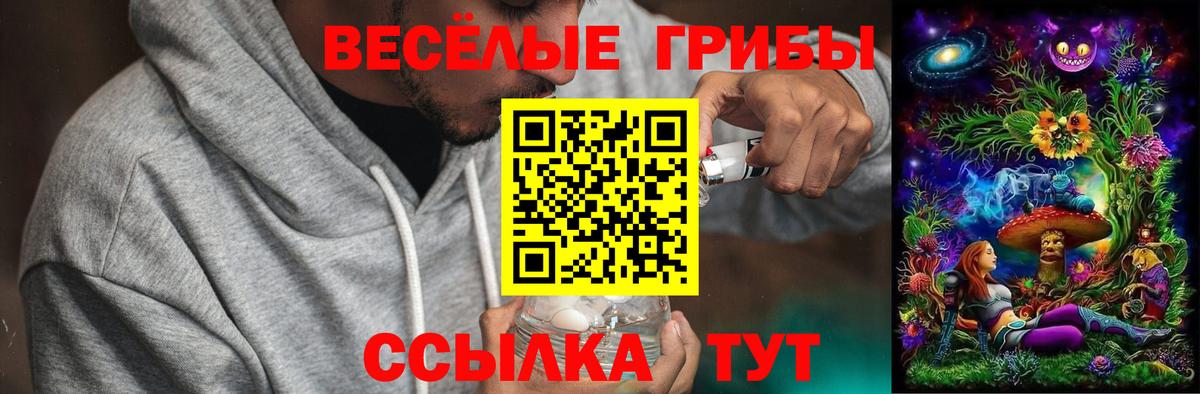 Павлово  Галлюциногенные грибы мухоморы  что такое   Вход с VPN 