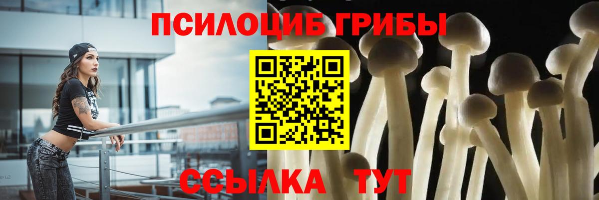 Галлюциногенные грибы GOLDEN TEACHER Павлово